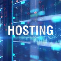 Profosyonel Hosting