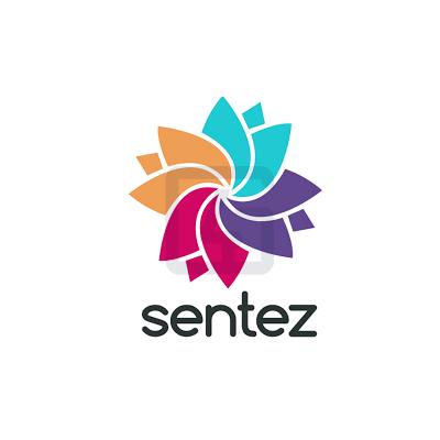 Sentez Muhasebe Entegrasyonu