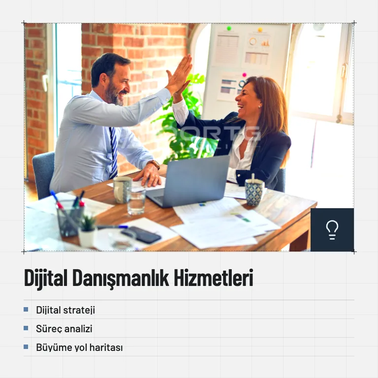Dijital Danışmanlık Hizmetleri