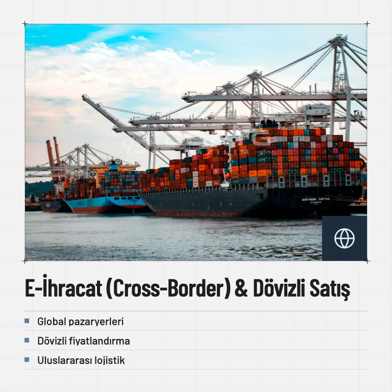 E-İhracat (Cross-Border) & Dövizli Satış
